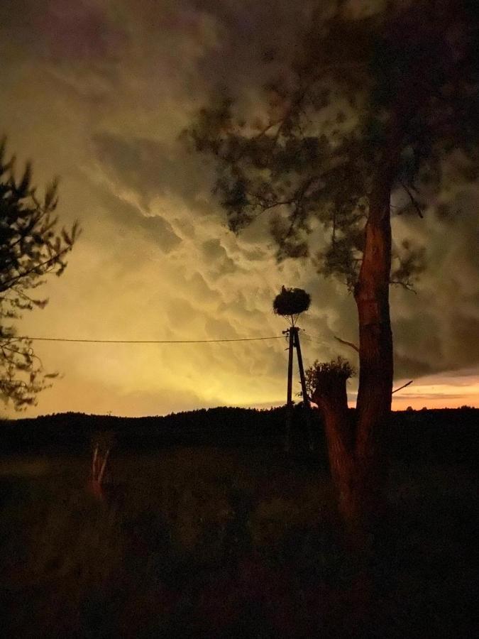 Вилла Pod Bocianim Gniazdem Stary Folwark Экстерьер фото